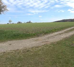 Heckenerlebnispfad Apfelstetten