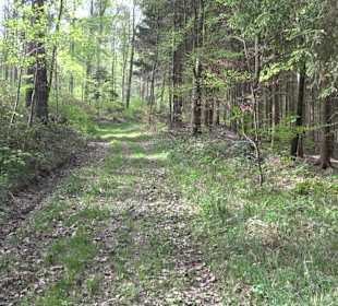 Walderlebnisweg Rottenburg
