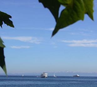 Bodensee bei Konstanz