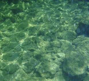 Unterwasseraufnahmen