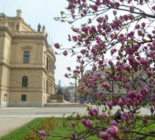 Злата прага