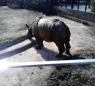 Tierpark Hellabrunn in München