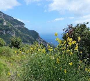 Sehr schöne Ausblicke