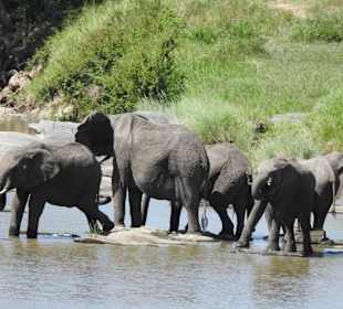 Abkühlung im Talex River