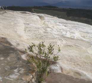 Weg um die Terrassen