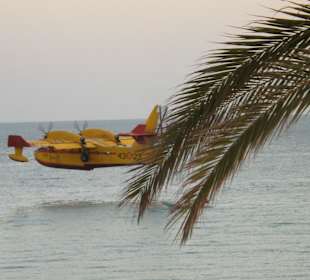 Löschflugzeug am Tora-Starnd