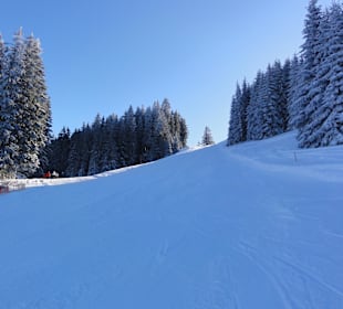 Waldabfahrt Piste 6