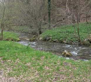 Echazquellen
