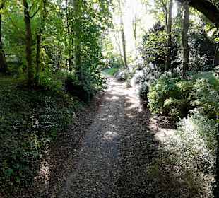 Herbstspaziergang durch Knoops Park