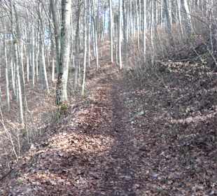 Bolberg Willmandingen