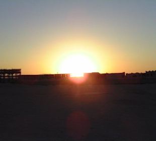 Sonnenuntegang in der Wüste 