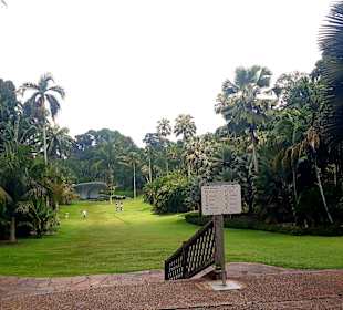 Botanischer Garten