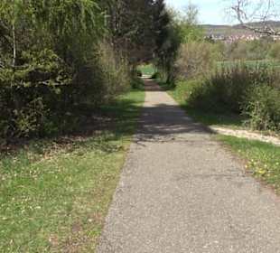 Strauchlehrpfad