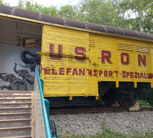 Elefantentransporter