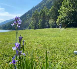 Wandern Reit Im Winkl