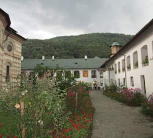 Mănăstirea Cozia