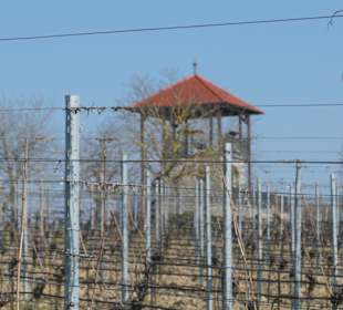 Sommerach: der Aussichtsturm in den Weinbergen