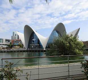 Aquarium / Oceanongrafic