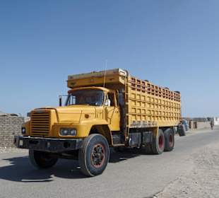 Er wollte aufs Bild.