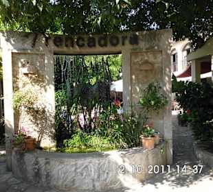 Eingang direkt zum Garten