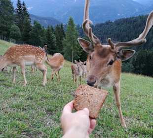 Wandern Oberdrauburg