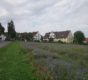 Insel Reichenau am Münster