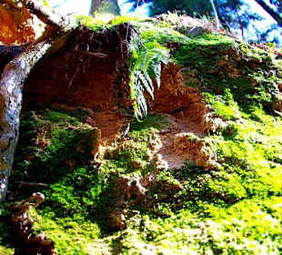 Wanderung zum Wasserfall