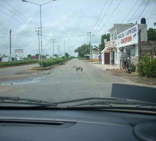 Auf dem Weg nach Ekkbalm