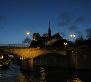 Katedra Notre Dame