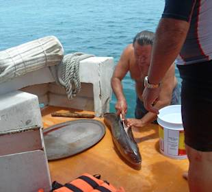 Gefangener Fisch - späteres Mittagessen 