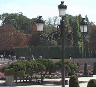 Parterre