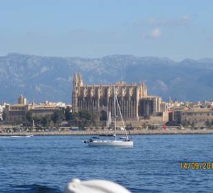 Palma