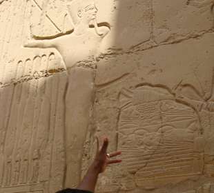 Sprievodca oboznamuje s históriou