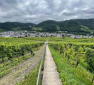 Wandern Bernkastel-Kues