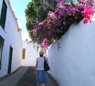 San Francisco - Historische Gasse