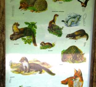 Das Oberbecken Happurger Stausee