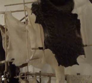 Erdgeschoss - Häute + Felle