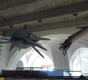 Jura-Museum