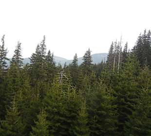 Schneekope/Śnieżka