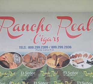 Stadtrundfahrt Bavaro