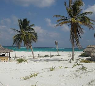 ein Strand bei Tulum