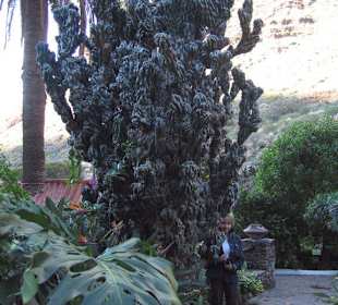 Kleiner botanischer Garten