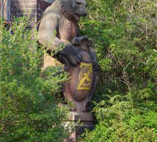 Bär an der Lichtensteinbrücke