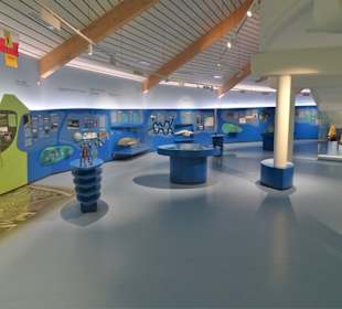 Im Haupthaus des Natureums Niederelbe
