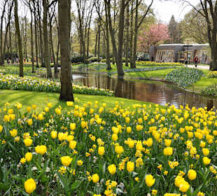 Парк Кекенхоф в Голандии