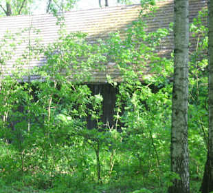 Außenansicht und Umgebung