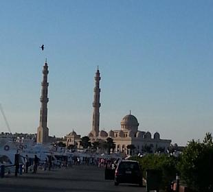 Blick vom Hafen auf die Moschee