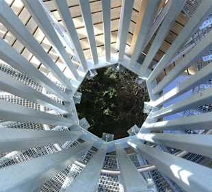 Plattform Baumhaus