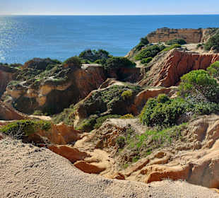 Seven Hanging Valleys Trail 