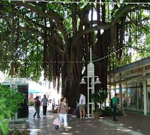 Bayside Market Place in Miami